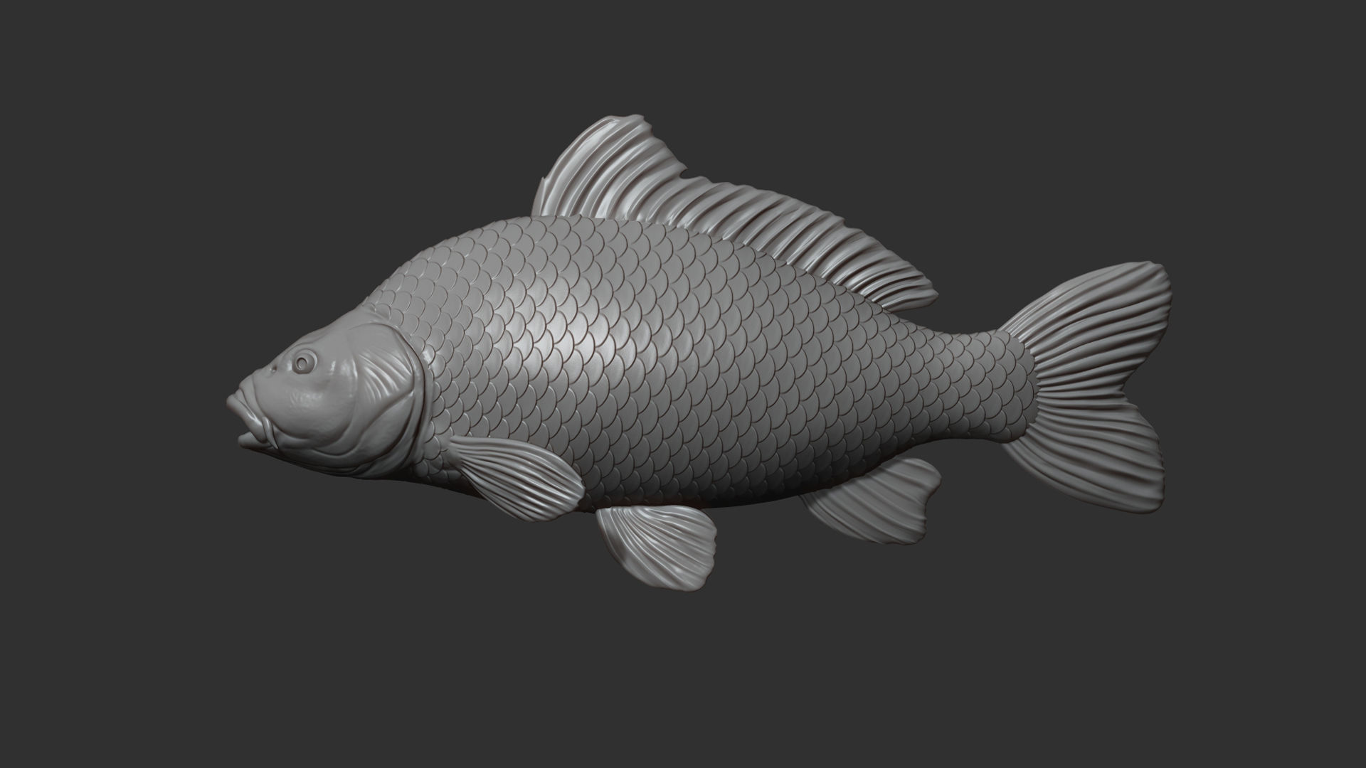 Carp fish on the base 3D print model_11