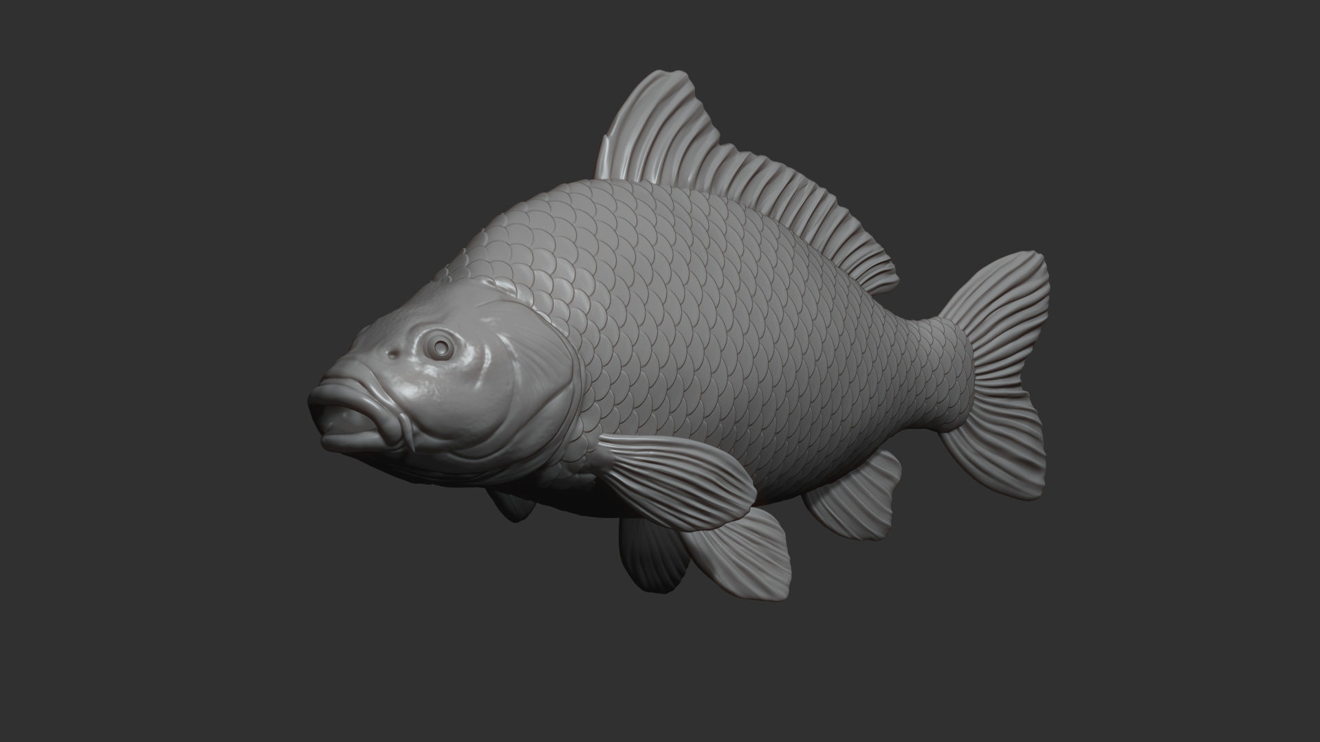 Carp fish on the base 3D print model_12