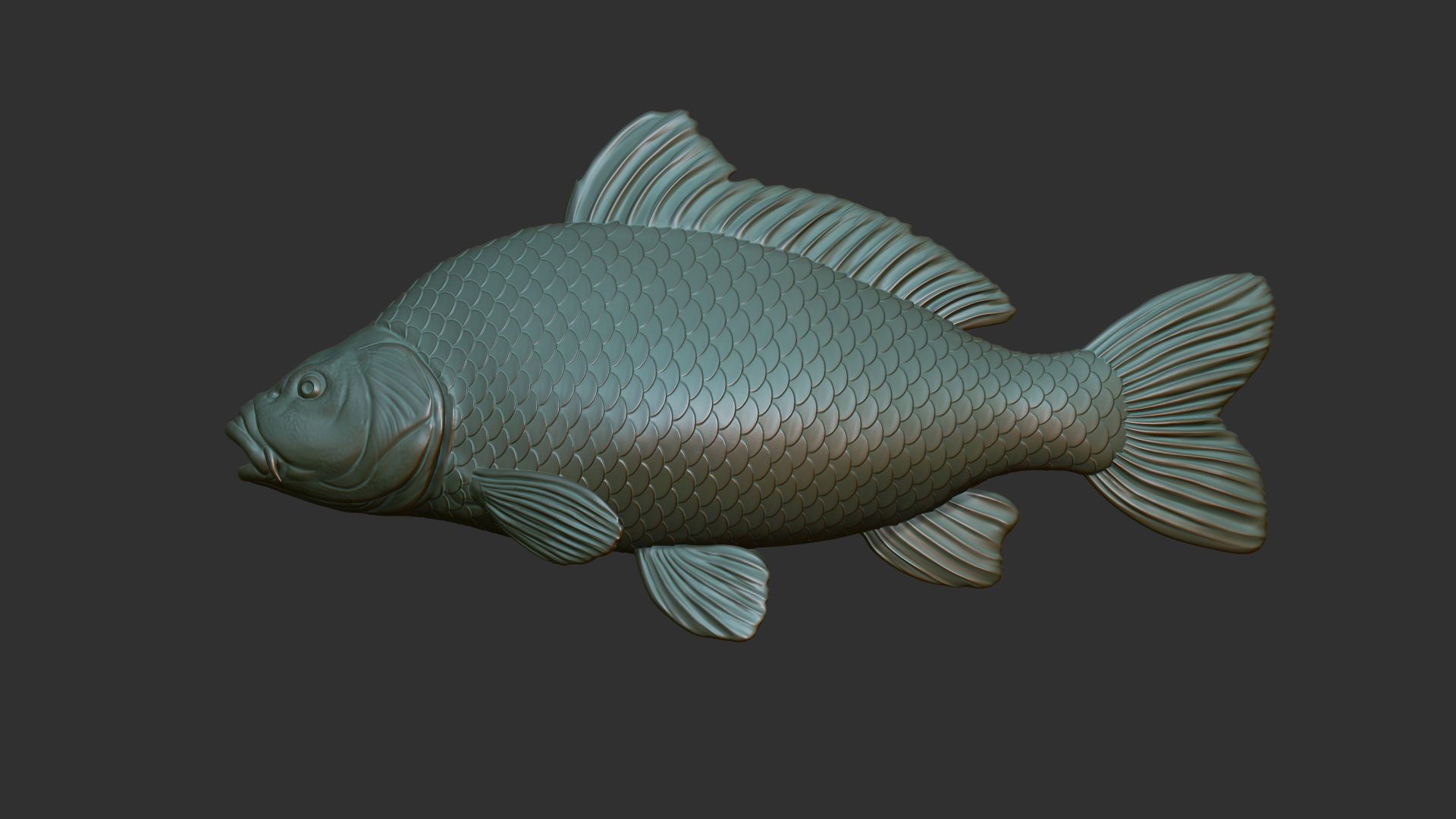 Carp fish on the base 3D print model_14