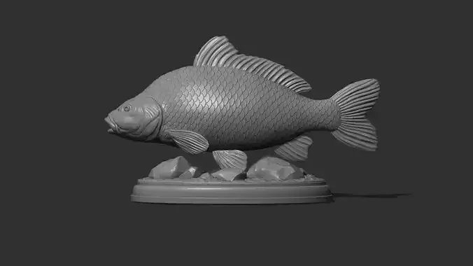 Carp fish on the base 3D print model