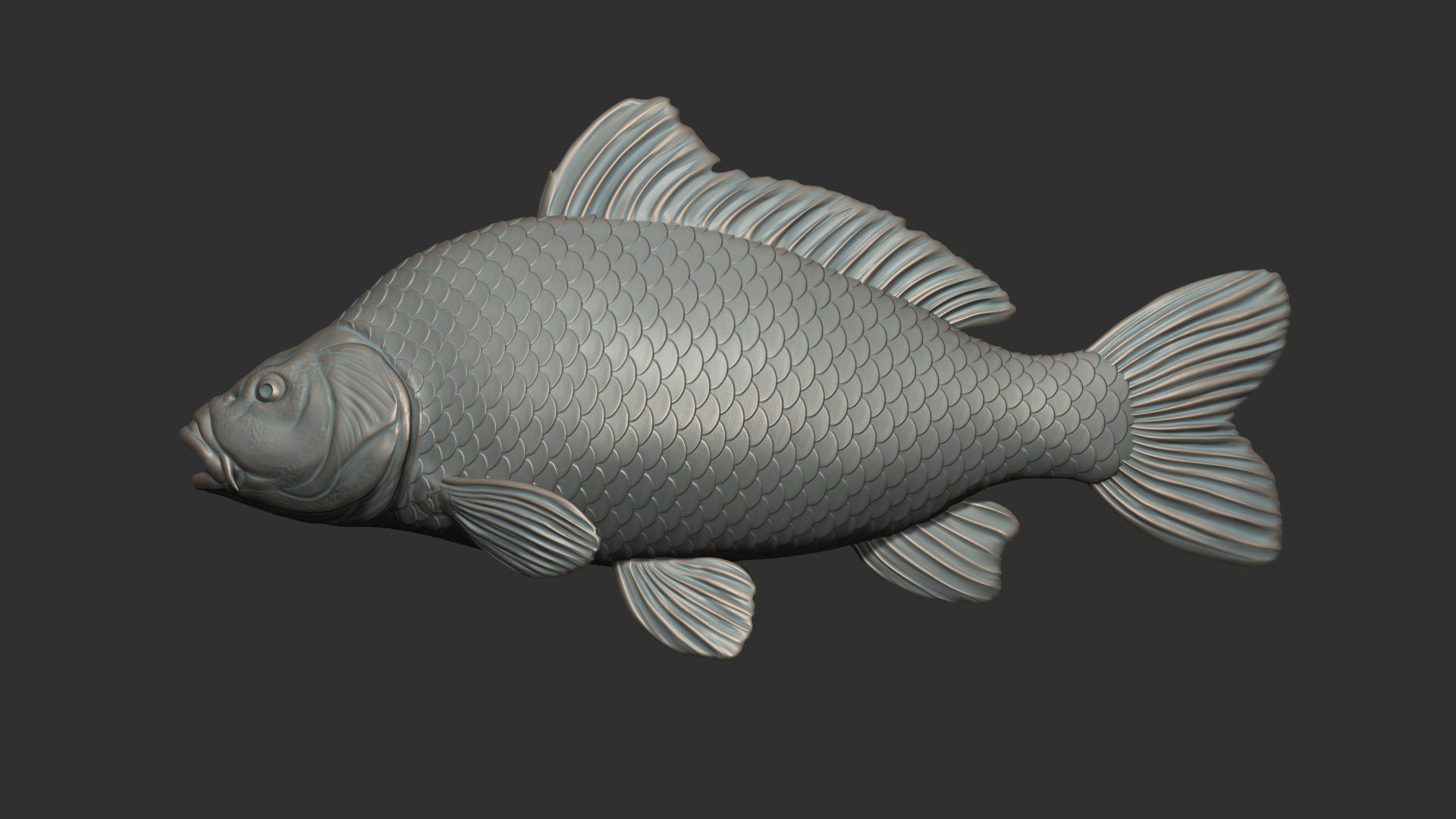 Carp fish on the base 3D print model_15
