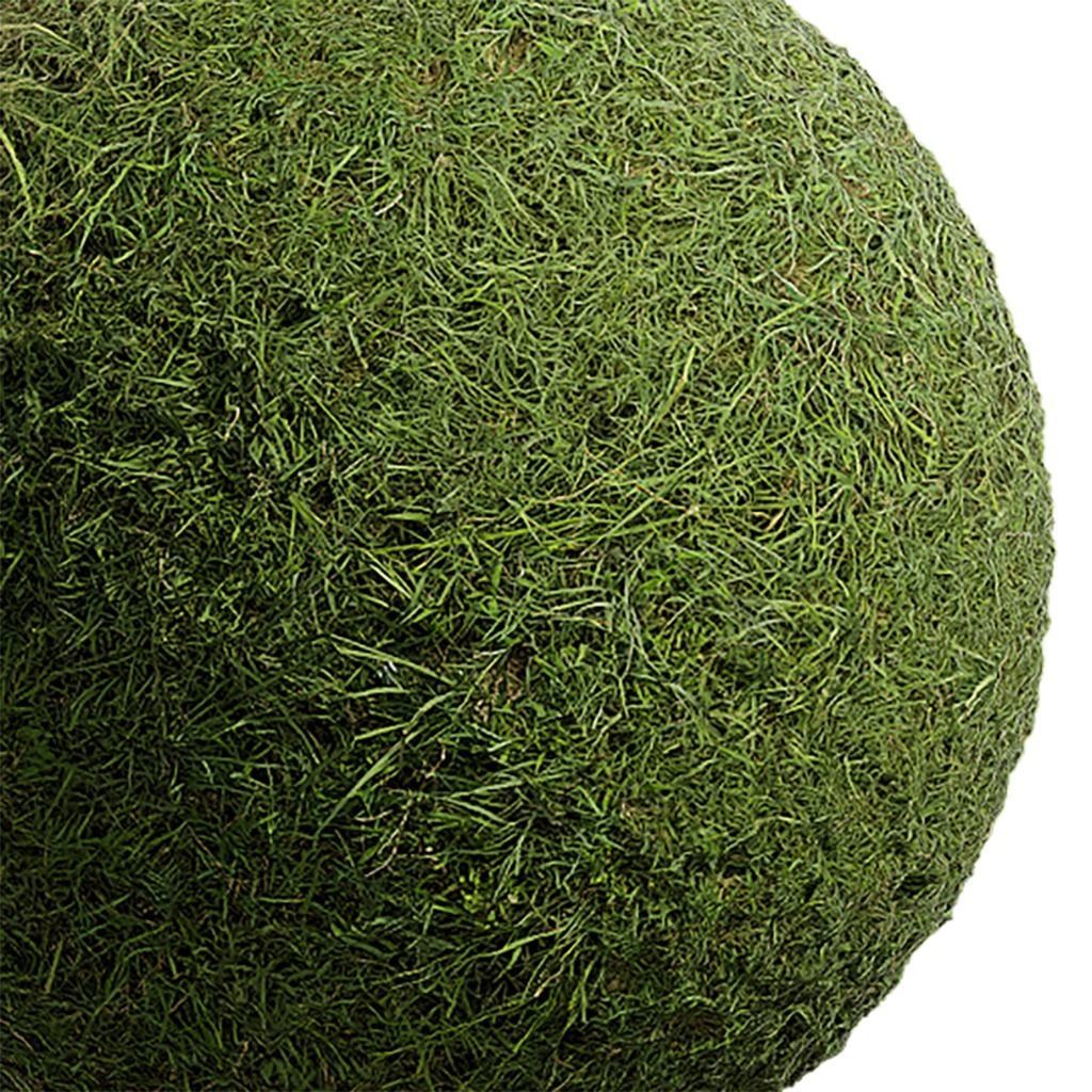 Grass Seamless Texture 2K - EXR 5 - JPG 5 Texture Texture_4