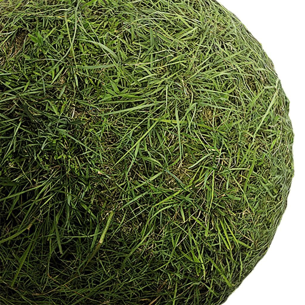 Grass Seamless Texture 2K - EXR 5 - JPG 5 Texture Texture_3