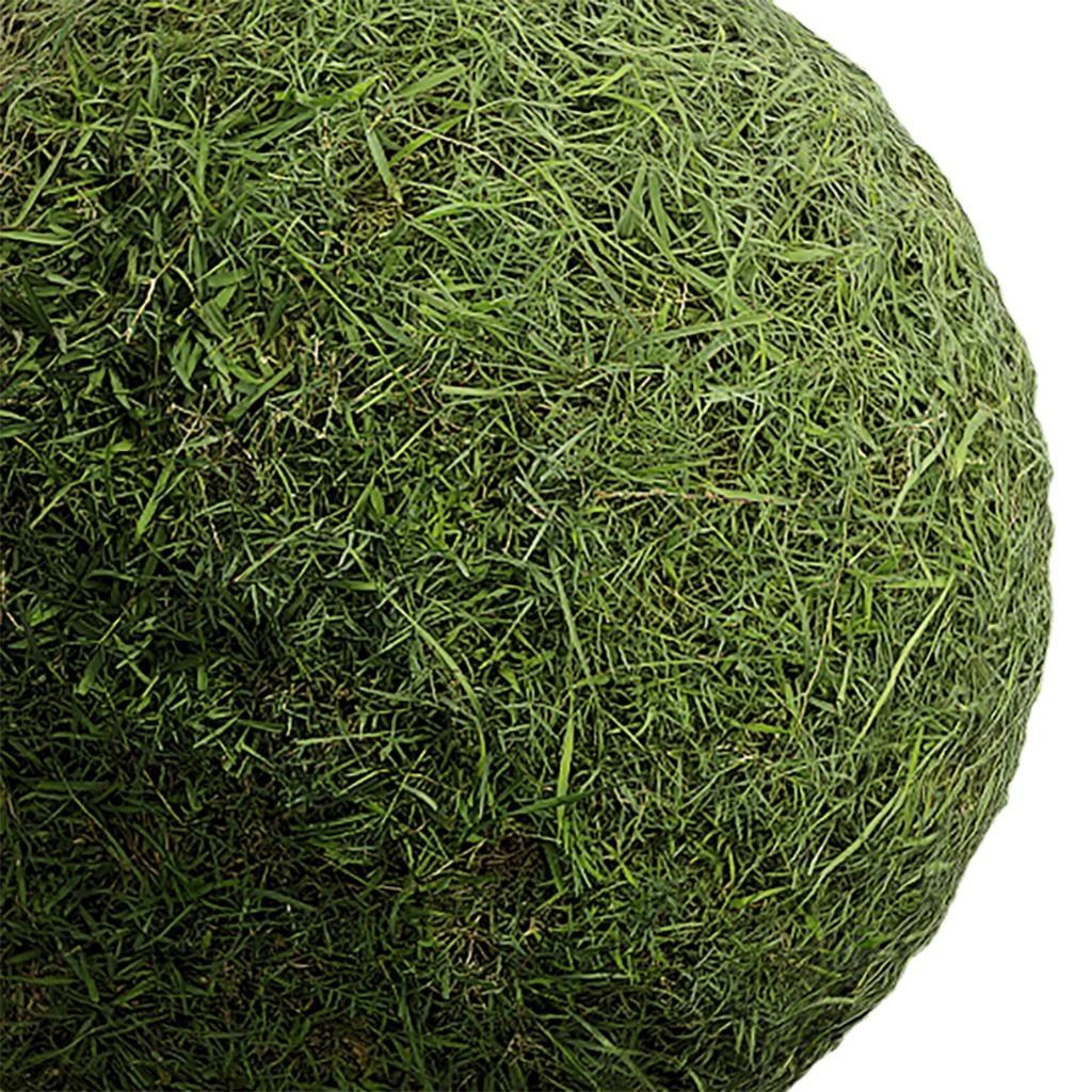 Grass Seamless Texture 2K - EXR 5 - JPG 5 Texture Texture_2
