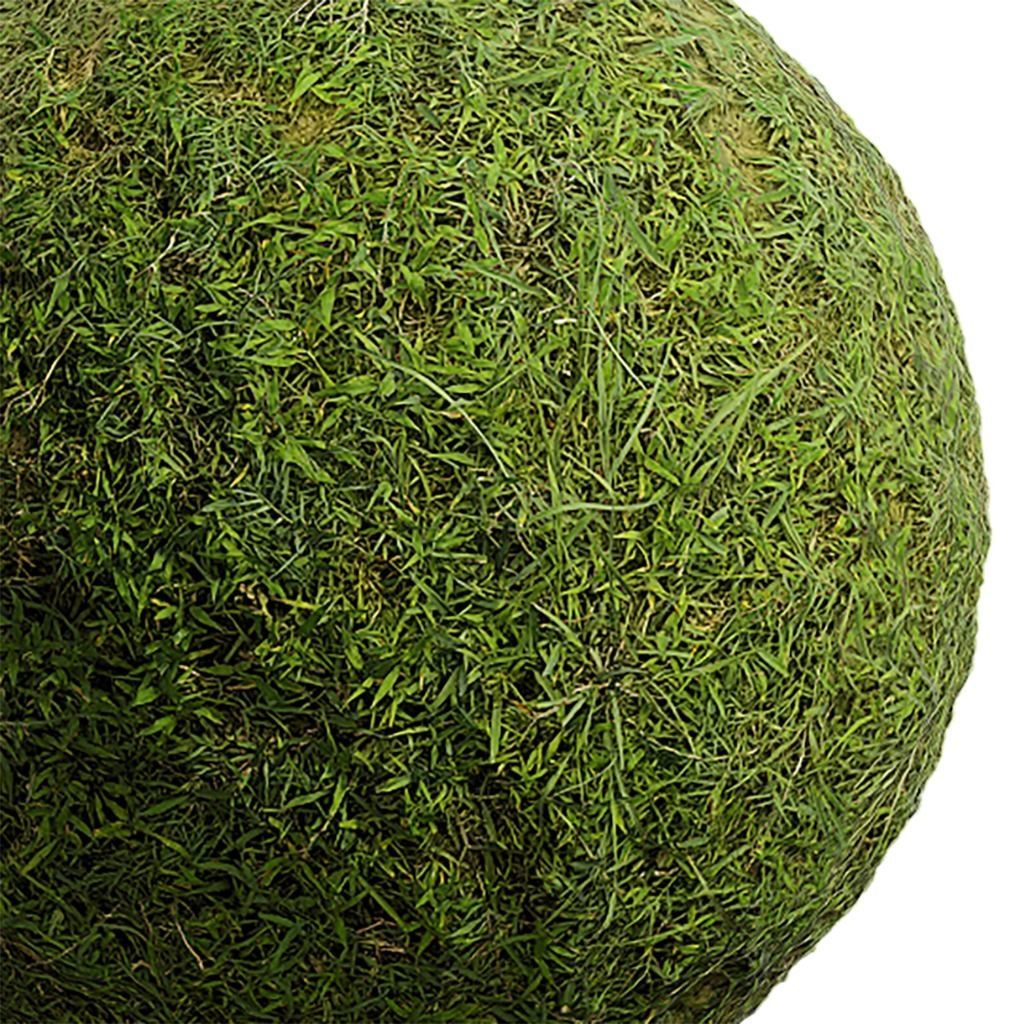 Grass Seamless Texture 2K - EXR 5 - JPG 5 Texture Texture_1