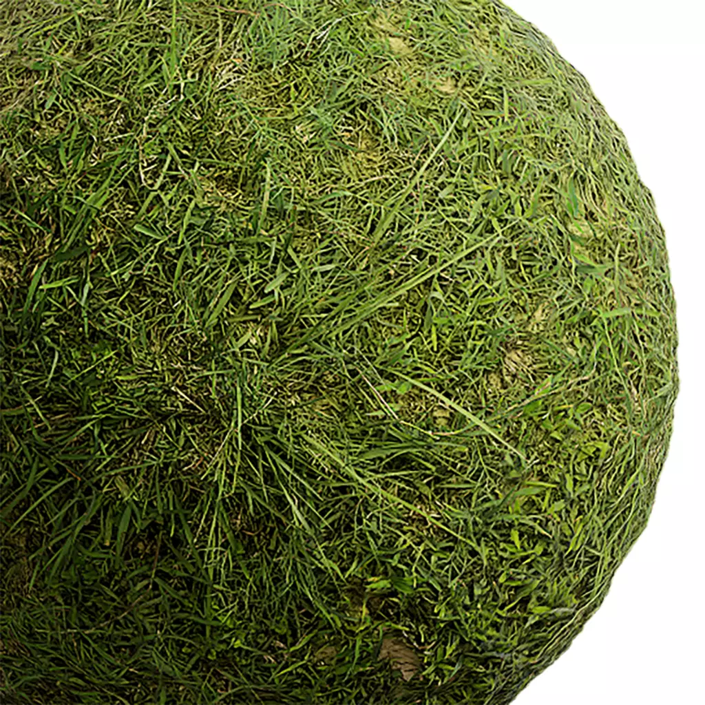 Grass Seamless Texture 2K - EXR 5 - JPG 5 Texture Texture_0