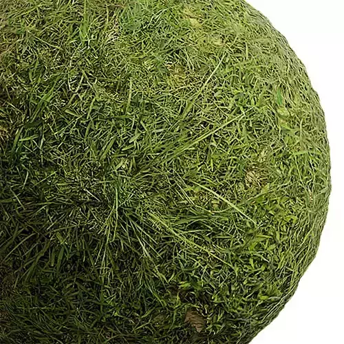 Grass Seamless Texture 2K - EXR 5 - JPG 5 Texture