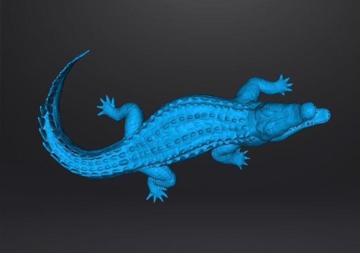 CROCODILE REALISTIC FIGURE MODEL ANIMAL CREATURE WILDLIFE RPG 3D print model_12