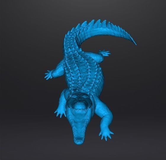 CROCODILE REALISTIC FIGURE MODEL ANIMAL CREATURE WILDLIFE RPG 3D print model_9