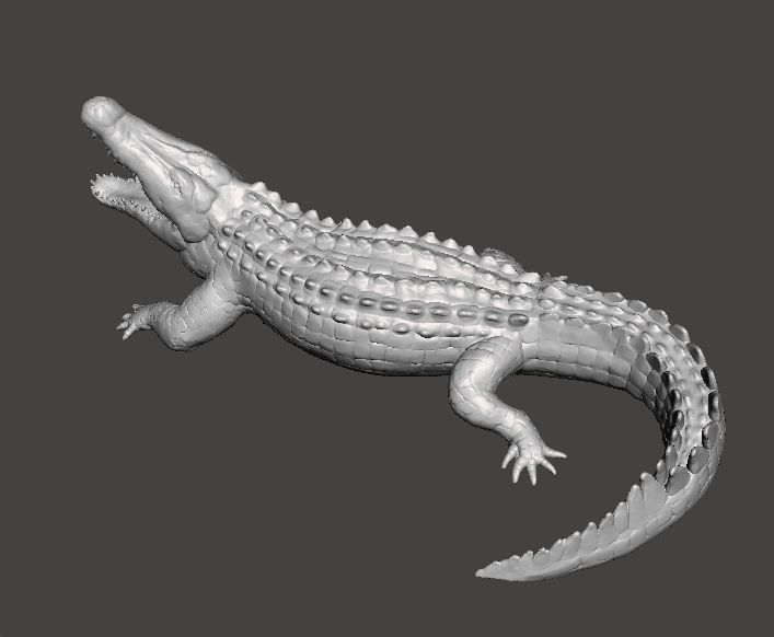 CROCODILE REALISTIC FIGURE MODEL ANIMAL CREATURE WILDLIFE RPG 3D print model_3