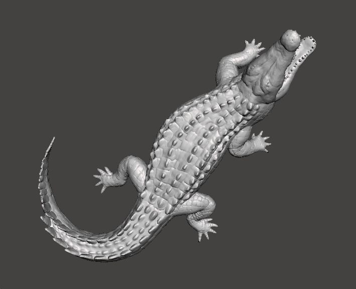 CROCODILE REALISTIC FIGURE MODEL ANIMAL CREATURE WILDLIFE RPG 3D print model_5