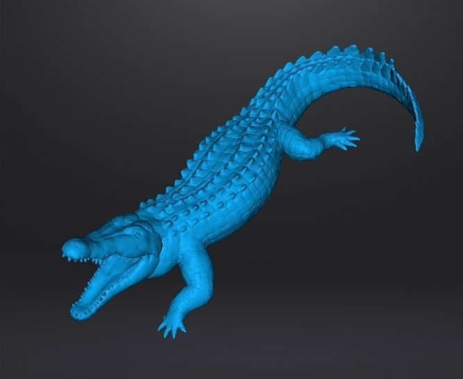 CROCODILE REALISTIC FIGURE MODEL ANIMAL CREATURE WILDLIFE RPG 3D print model_8