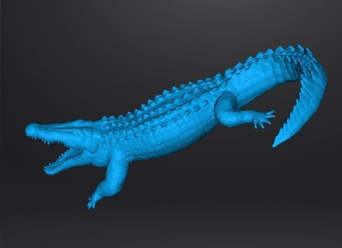 CROCODILE REALISTIC FIGURE MODEL ANIMAL CREATURE WILDLIFE RPG 3D print model_10