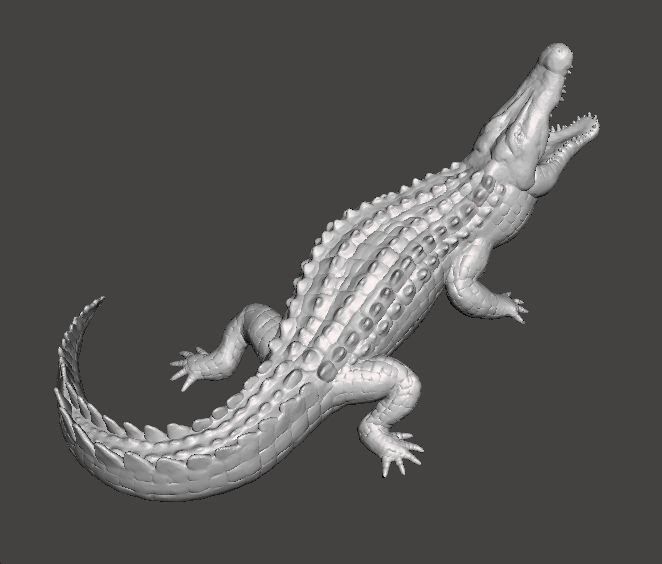 CROCODILE REALISTIC FIGURE MODEL ANIMAL CREATURE WILDLIFE RPG 3D print model_4