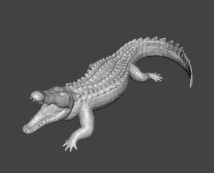 CROCODILE REALISTIC FIGURE MODEL ANIMAL CREATURE WILDLIFE RPG 3D print model_2