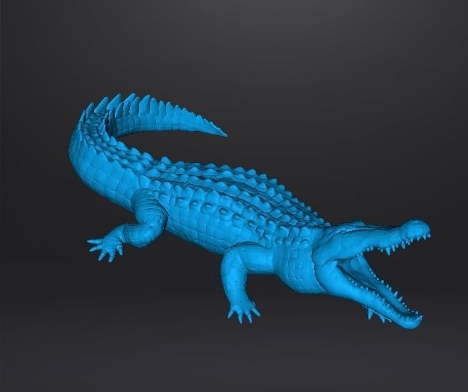 CROCODILE REALISTIC FIGURE MODEL ANIMAL CREATURE WILDLIFE RPG 3D print model_7