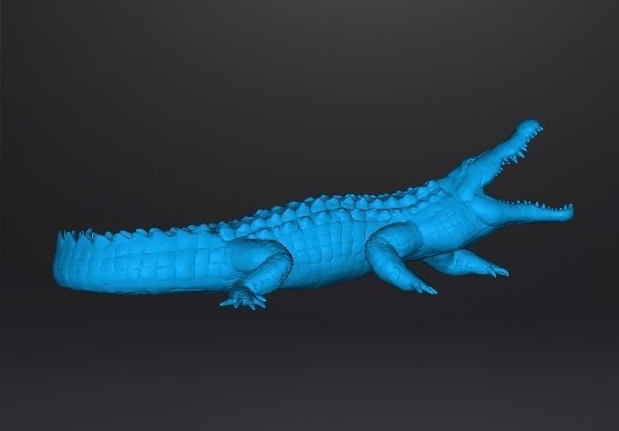 CROCODILE REALISTIC FIGURE MODEL ANIMAL CREATURE WILDLIFE RPG 3D print model_11