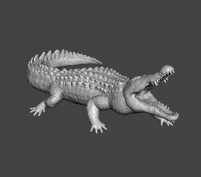 CROCODILE REALISTIC FIGURE MODEL ANIMAL CREATURE WILDLIFE RPG 3D print model_0