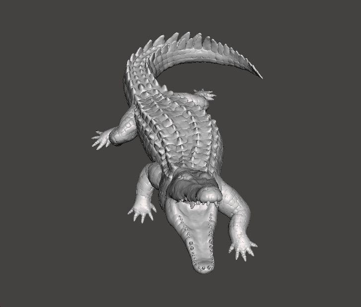 CROCODILE REALISTIC FIGURE MODEL ANIMAL CREATURE WILDLIFE RPG 3D print model_1