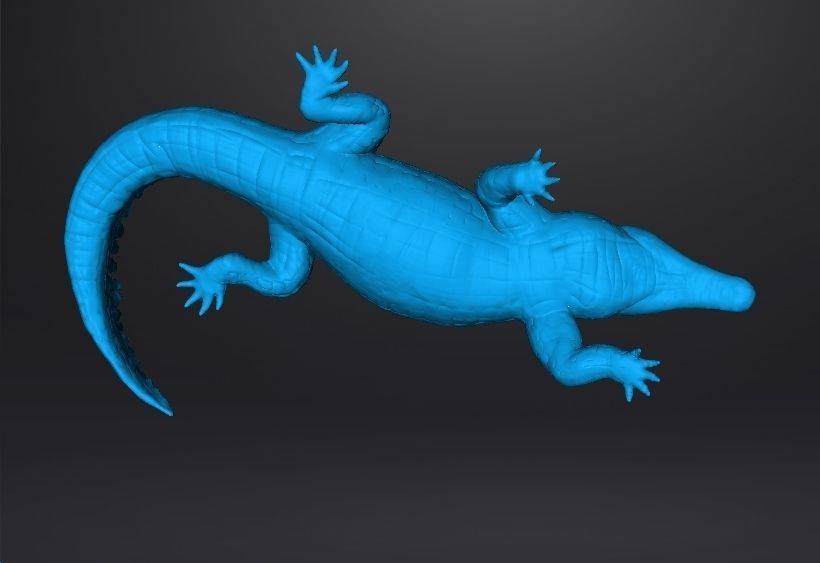CROCODILE REALISTIC FIGURE MODEL ANIMAL CREATURE WILDLIFE RPG 3D print model_13