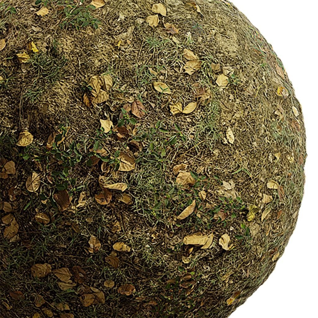 Grass Seamless Texture 2K - EXR 5 - JPG 5 Texture Texture_1