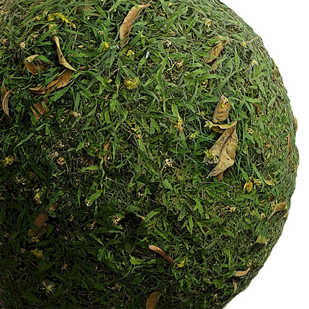 Grass Seamless Texture 2K - EXR 5 - JPG 5 Texture Texture_2