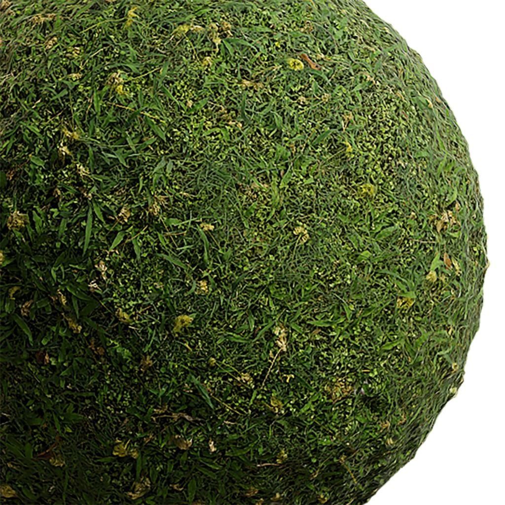 Grass Seamless Texture 2K - EXR 5 - JPG 5 Texture Texture_3