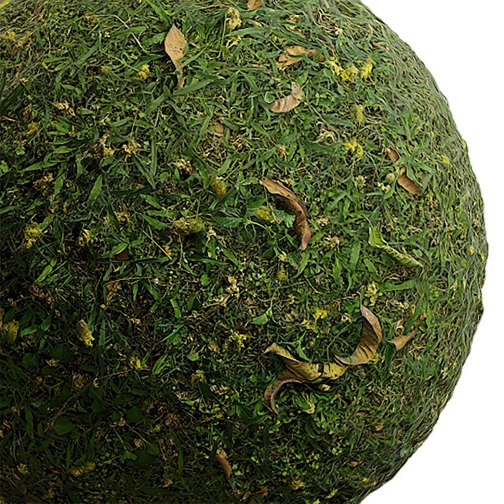 Grass Seamless Texture 2K - EXR 5 - JPG 5 Texture Texture_4