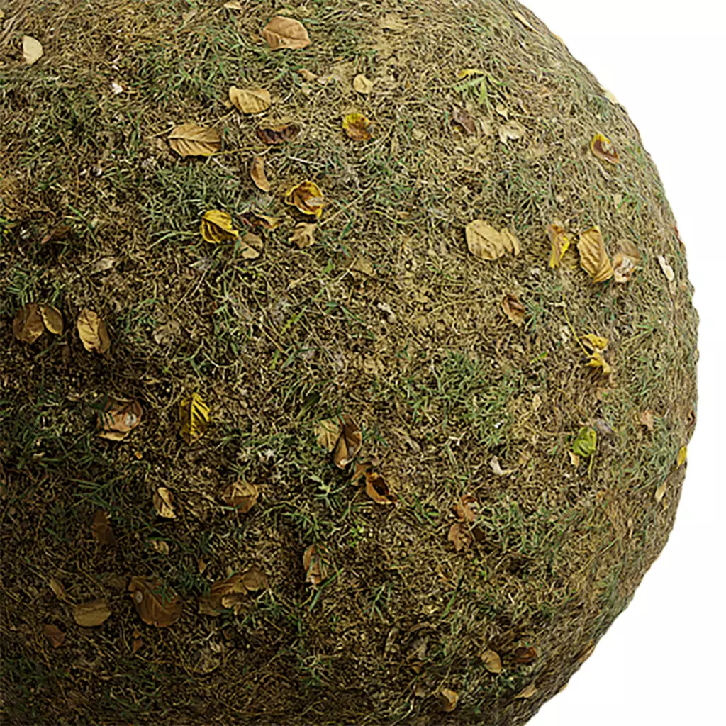 Grass Seamless Texture 2K - EXR 5 - JPG 5 Texture Texture_0