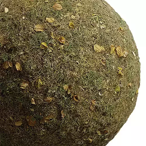 Grass Seamless Texture 2K - EXR 5 - JPG 5 Texture