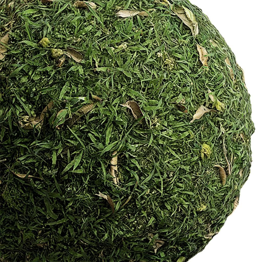 Grass Seamless Texture 2K - EXR 5 - JPG 5 Texture Texture_4