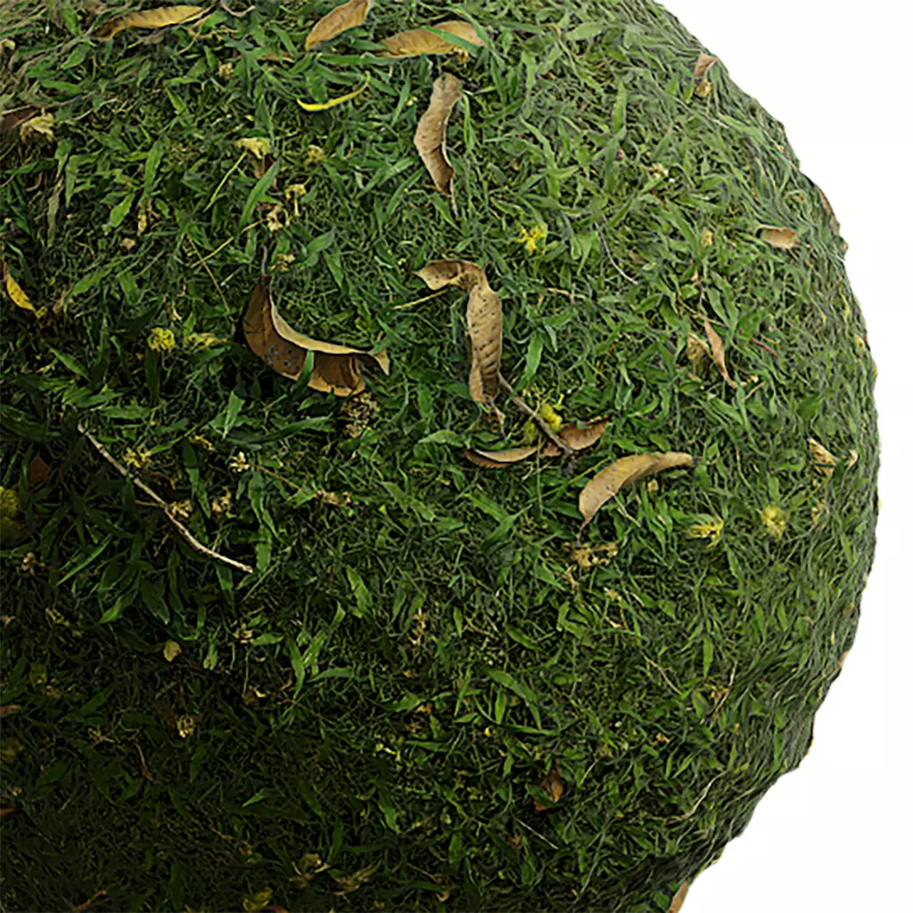 Grass Seamless Texture 2K - EXR 5 - JPG 5 Texture Texture_0
