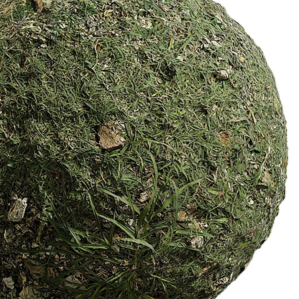 Grass Seamless Texture 2K - EXR 5 - JPG 5 Texture Texture_1