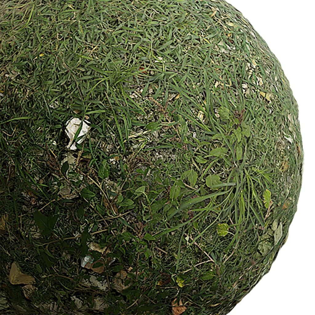Grass Seamless Texture 2K - EXR 5 - JPG 5 Texture Texture_2