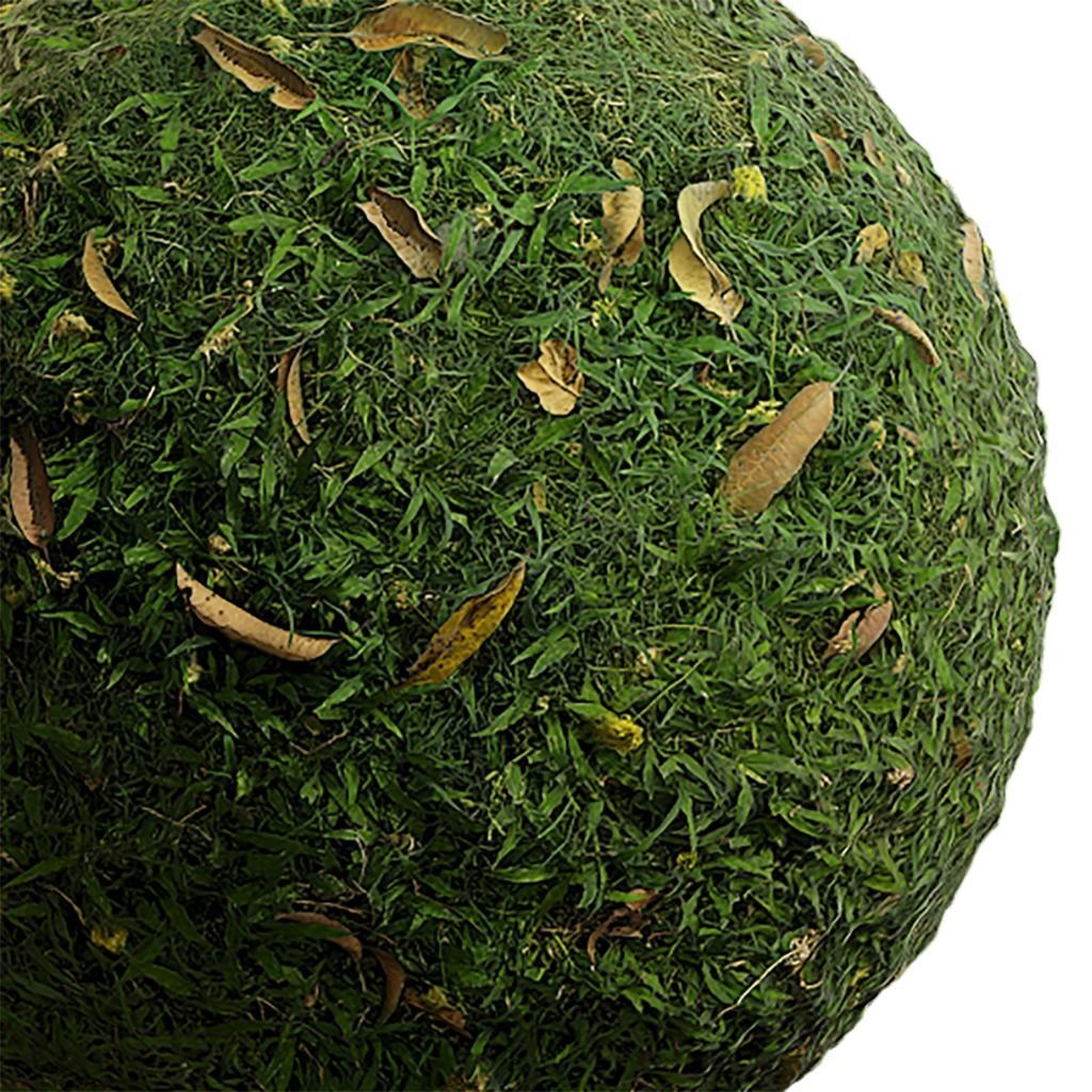 Grass Seamless Texture 2K - EXR 5 - JPG 5 Texture Texture_3