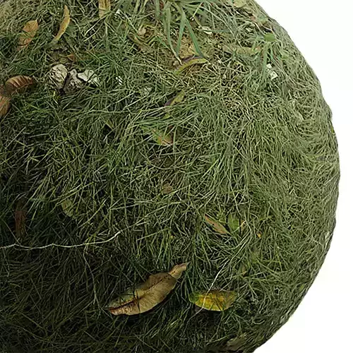 Grass Seamless Texture 2K - EXR 5 - JPG 5 Texture