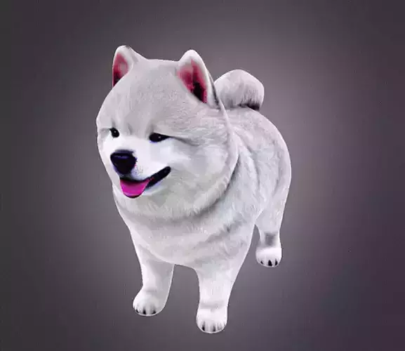 Samoyed Puppy 3D print model