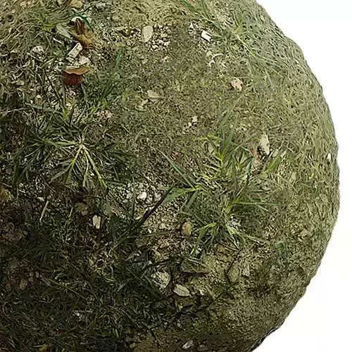 Grass Seamless Texture 2K - EXR 5 - JPG 5 Texture