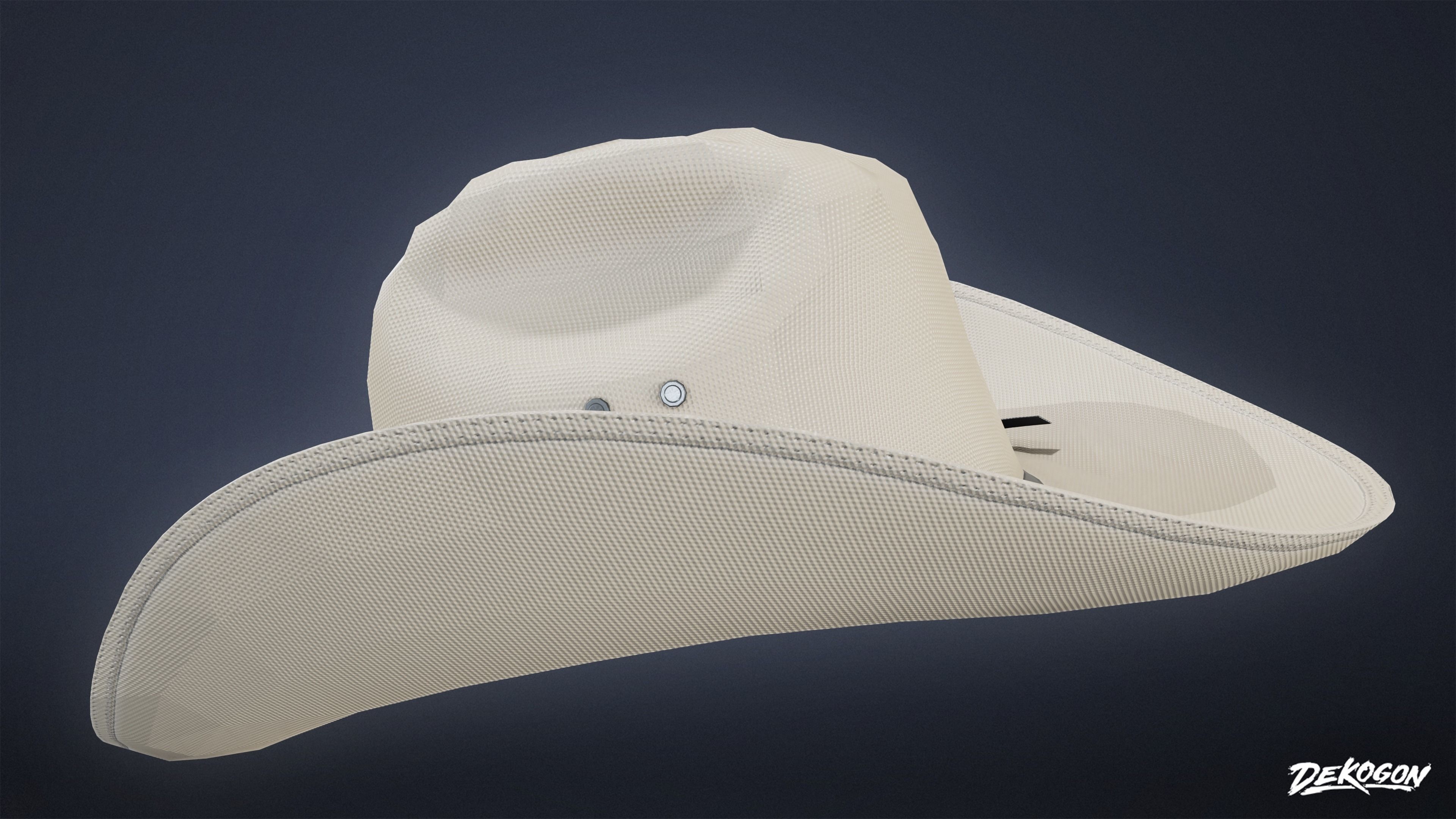 VARIETY HATS - Texan 01 - LOW POLY Low-poly 3D model_3