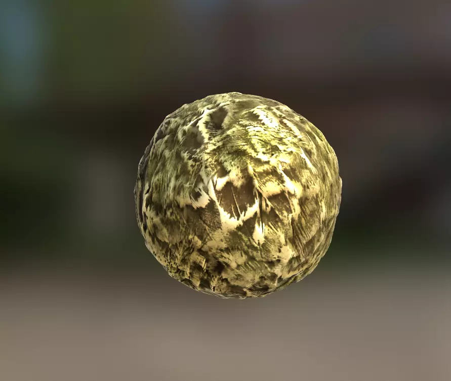 Kakapo New Zealand Bird Feather Texture  3D model_0