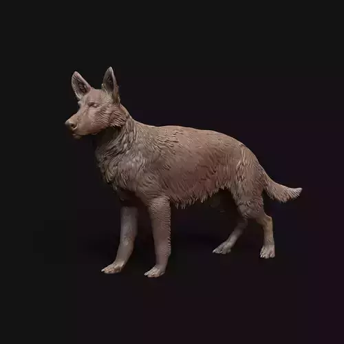 German Shepherd dog standing - pre supported  3D print model