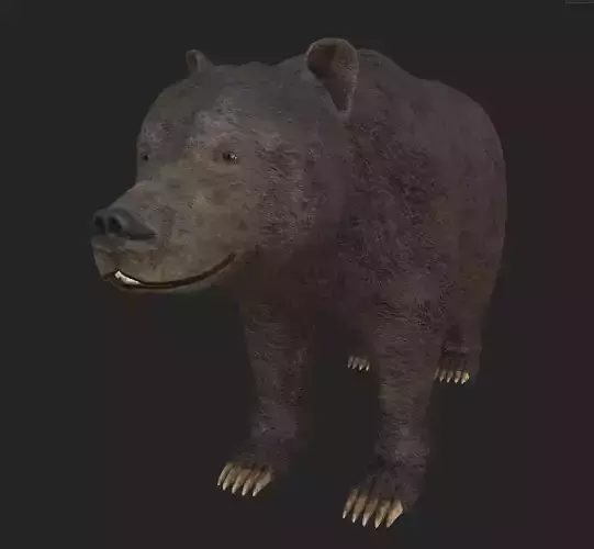 Bear Realistic