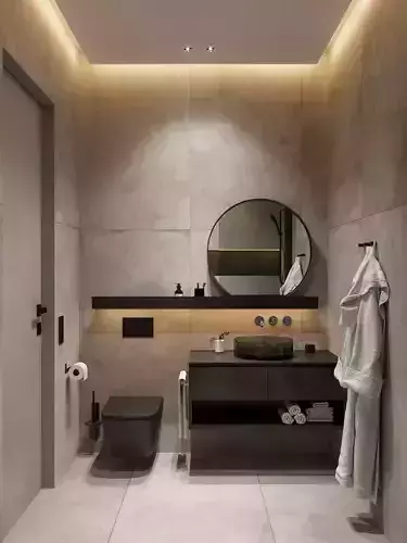 Minimal-Modern Toilet Bay