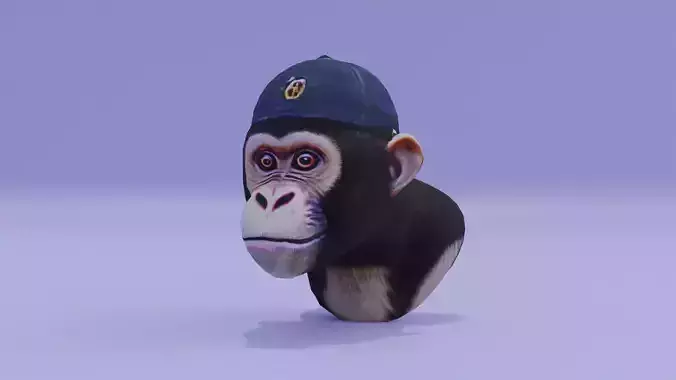 Realistic Monkey Head in a Cap Free low-poly 3D model