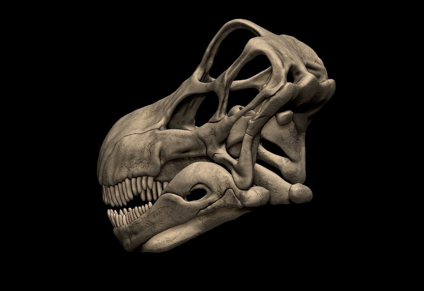 Argentinosaurus Skull 3D print model_5