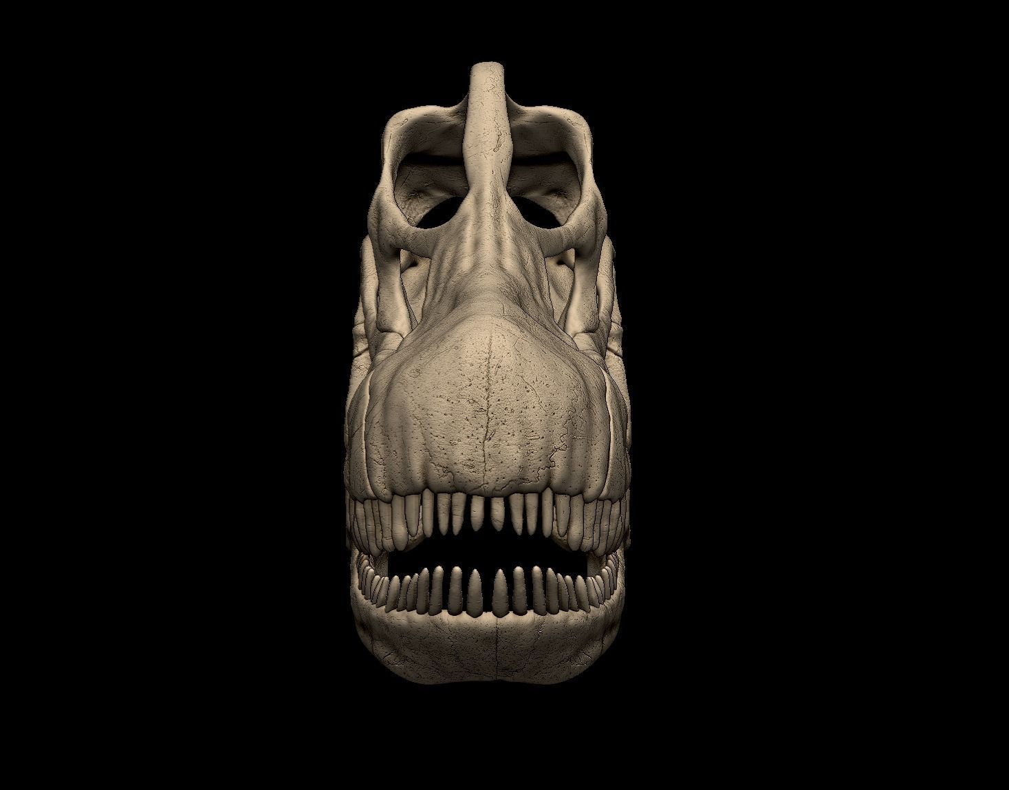 Argentinosaurus Skull 3D print model_2