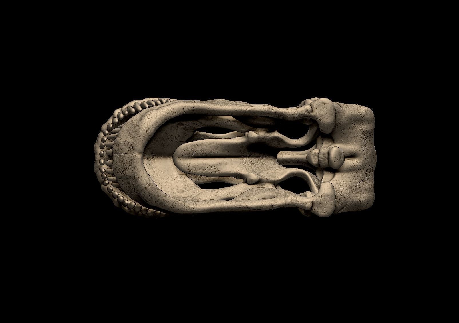 Argentinosaurus Skull 3D print model_4