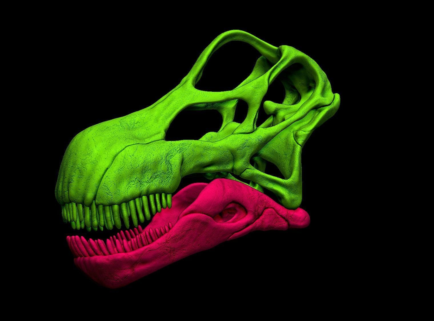 Argentinosaurus Skull 3D print model_6