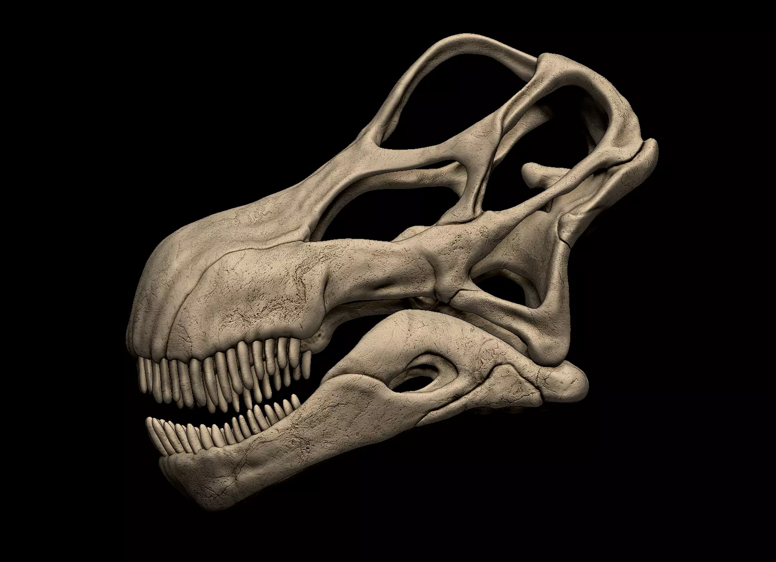 Argentinosaurus Skull 3D print model_0