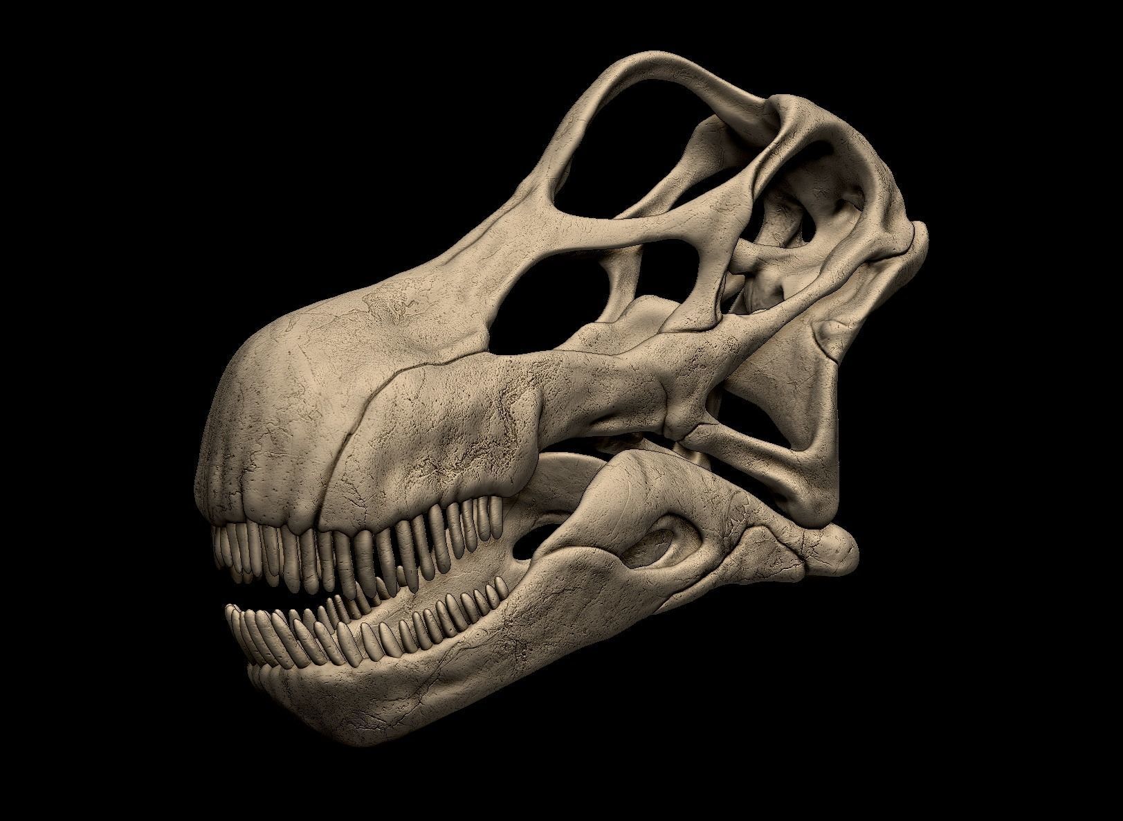 Argentinosaurus Skull 3D print model_1